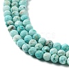 Natural Peruvian Turquoise(Jasper) Beads Strands G-J401-A01-01-4