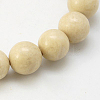 Natural Fossil Beads Strands X-G-E110-12mm-2-1