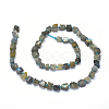 Natural Labradorite Beads Strands G-O173-060-2