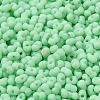 Glass Frosted Seed Beads SEED-K009-05B-05-3