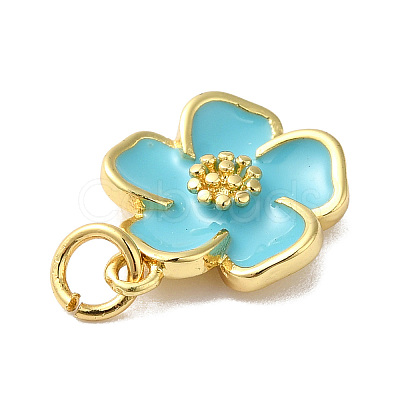 Rack Plating Brass Enamel Charms KK-O142-56G-1