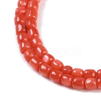 Natural Freshwater Shell Beads Strands BSHE-H109-04-1