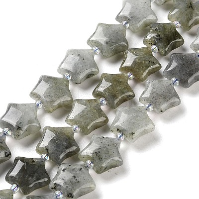 Natural Labradorite Beads Strands G-NH0005-020-1