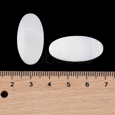 Natural Freshwater Shell Cabochons BSHE-G036-10B-1