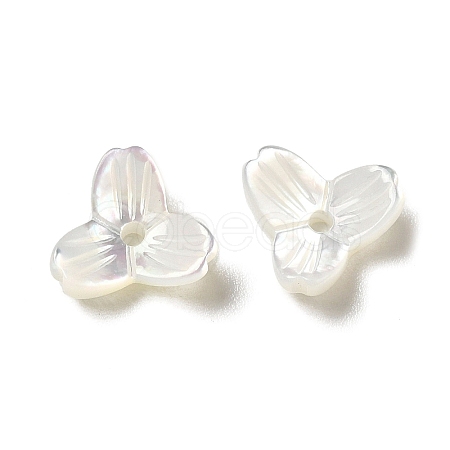 Natural White Shell Beads SSHEL-M022-09-1