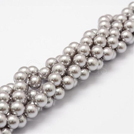 Shell Pearl Beads Strands BSHE-L026-05-6mm-1
