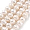 Natural Cultured Freshwater Pearl Beads Strands, Potato, PeachPuff, 8~9mm, Hole: 0.6mm, about 22~23pcs/strand, 6.50 inch(16.5cm)