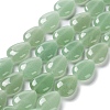 Natural Green Aventurine Beads Strands G-L242-22-1
