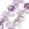 Natural Amethyst Beads Strands G-P528-K03-01-1