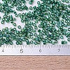 MIYUKI Delica Beads Small X-SEED-J020-DBS0175-4