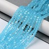 Transparent Glass Beads Strands EGLA-A044-T3mm-MB08-2