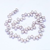 Natural Cultured Freshwater Pearl Beads Strands PEAR-G004-01B-01-2