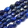 Natural Lapis Lazuli Beads Strands G-O170-27-1