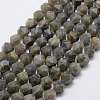 Natural Labradorite Beads Strands G-K209-02E-8mm-1