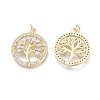 Brass Micro Pave Cubic Zirconia Pendants ZIRC-F114-02-G-2