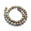 Natural Aqua Terra Jasper Beads Strands G-N0128-48-10mm-2