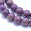 Natural Lepidolite/Purple Mica Stone Beads Strands G-L552H-09C-2