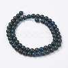 Natural Gemstone Beads Strands G-F560-6mm-A01-2