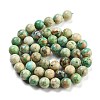 Natural Peruvian Turquoise(Jasper) Beads Strands G-Z062-A01-02-3