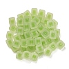 Frosted Acrylic European Beads OACR-G012-14G-3
