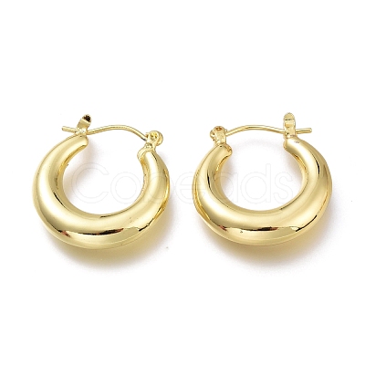 Brass Hoop Earrings EJEW-H104-21G-1