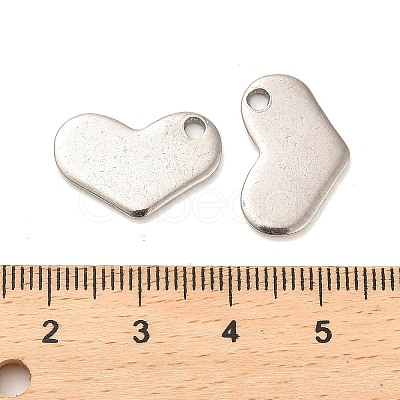 Non-Tarnish Stainless Steel Pendants STAS-L276-01P-02-1