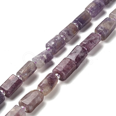 Natural Lepidolite/Purple Mica Stone Beads Strands G-K245-I16-01-1