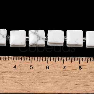 Natural Howlite Beads Strands G-L596-A19-01-1