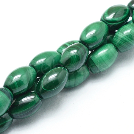 Natural Malachite Beads Strands G-D0011-09C-1