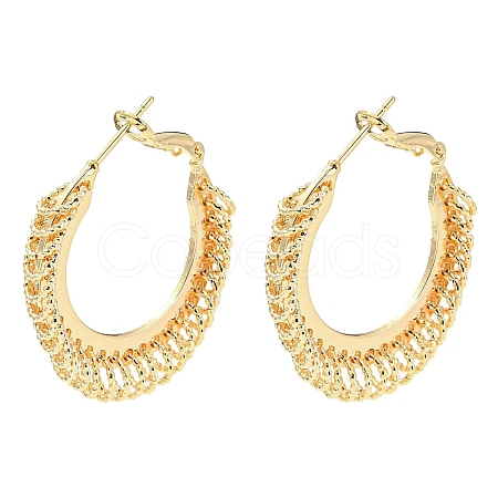 Brass Hoop Earrings EJEW-K264-04G-1