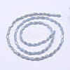 Faceted Bicone Electroplate Glass Bead Strands EGLA-L004B-C04-2