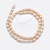 Grade AAA Natural Cultured Freshwater Pearl Beads Strands PEAR-F007-76-3