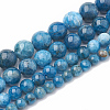 Natural Apatite Beads Strands G-S333-7.5mm-012-2