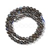 Grade AA Natural Gemstone Labradorite Round Beads Strands G-E251-33-6mm-01-9