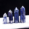 Point Tower Natural Sodalite Home Display Decoration PW-WG54681-03-1