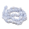 Natural Blue Lace Agate Chip Beads Strands X-G-E271-73-01-2