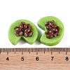 Opaque Resin Imitation Food Decoden Cabochons CRES-I032-02F-3