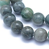 Natural Chrysocolla Beads Strands G-L552H-12-2
