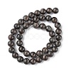 Natural Labradorite Beads Strands G-G0003-C03-3