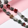 Natural African Bloodstone Beads Strands G-D475-02I-2