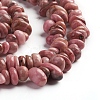 Natural Rhodonite Beads Strands G-D0002-C46-3