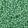 TOHO Round Seed Beads X-SEED-TR08-PF2103-2