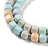 Natural Rainbow Alashan Agate Beads Strands G-NH0022-J01-01-4