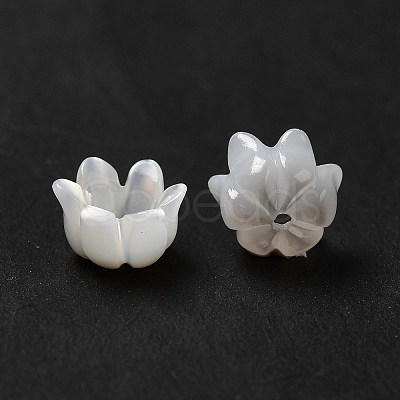 Natural Freshwater Shell Bead Caps BSHE-E026-12-1