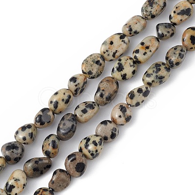 Natural Dalmatian Jasper Beads Strands X-G-B039-03A-1