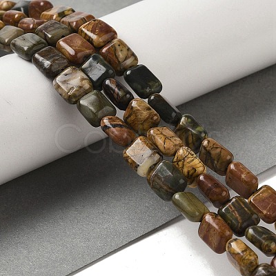 Natural Picasso Jasper Beads Strands G-Q161-E01-01-1