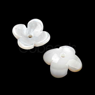 Natural Freshwater Shell Bead Caps BSHE-G034-16-1