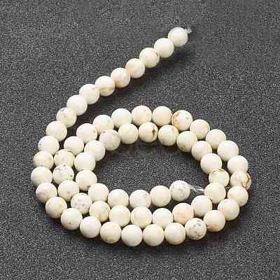 Nrtutal Magnesite Beads Strands G-L575-01B-1