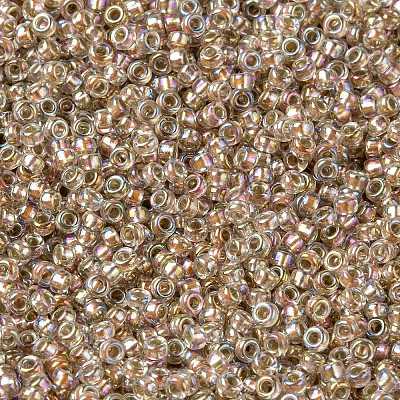 MIYUKI Round Rocailles Beads X-SEED-G009-RR3191-1