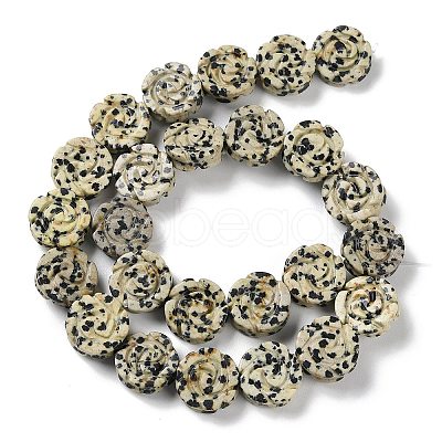 Natural Dalmatian Jasper Beads Strands G-B065-B14-1